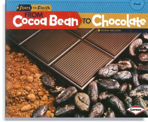 From Cocoa Bean to Chocolate