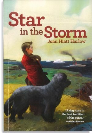 Star In The Storm