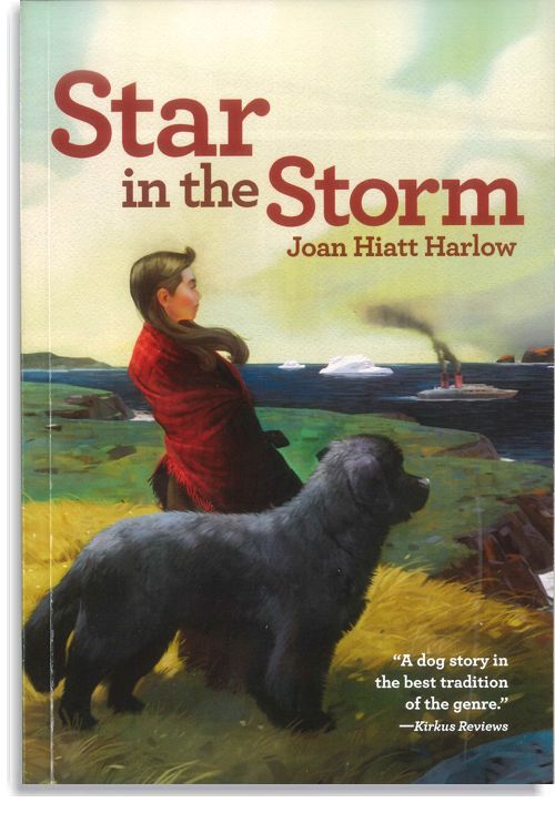 Star In The Storm