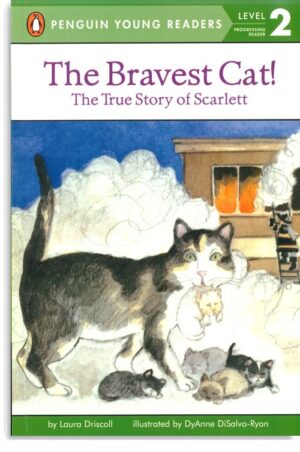 The Bravest Cat