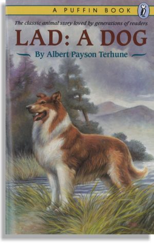 Lad: a Dog