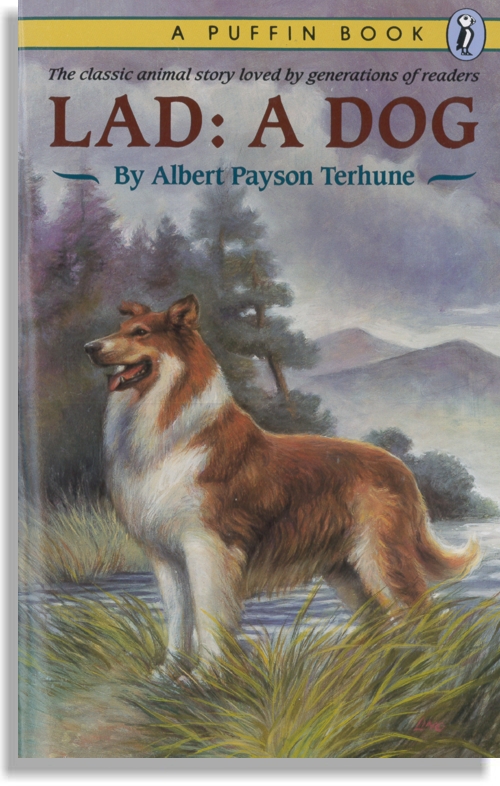 Lad: a Dog