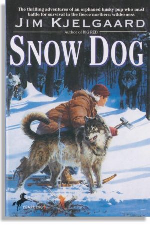 Snow Dog