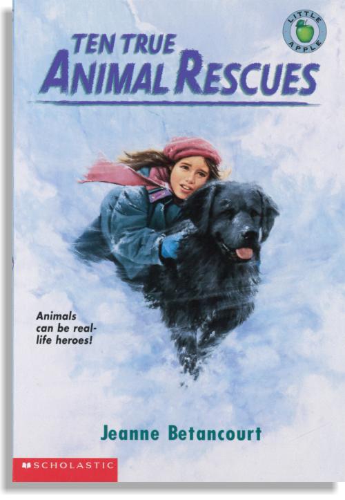 Ten True Animal Rescues
