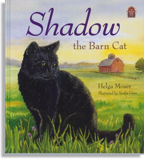 Shadow the Barn Cat