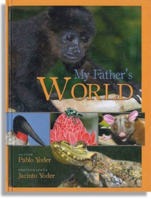 My Father's World