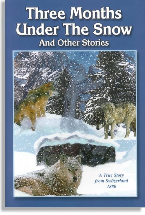 Three Months Under the Snow & Other Stories