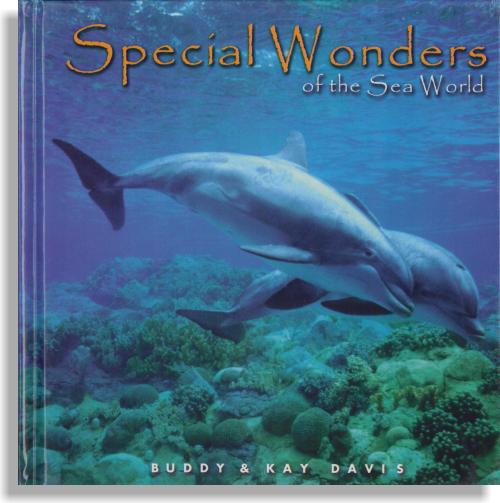 Special Wonders Of The Sea World
