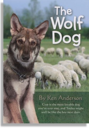 The Wolf Dog