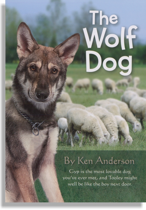 The Wolf Dog