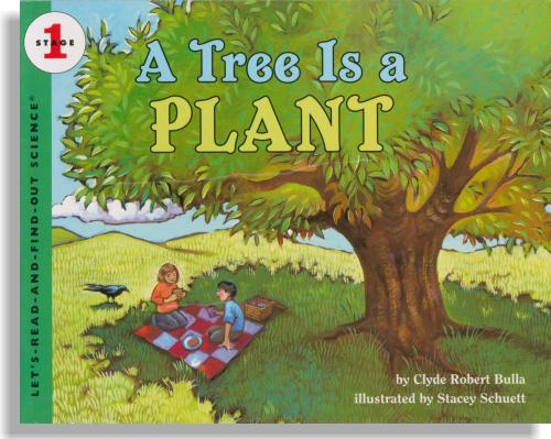 A Tree Is A Plant