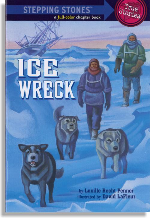 Ice Wreck - OTS