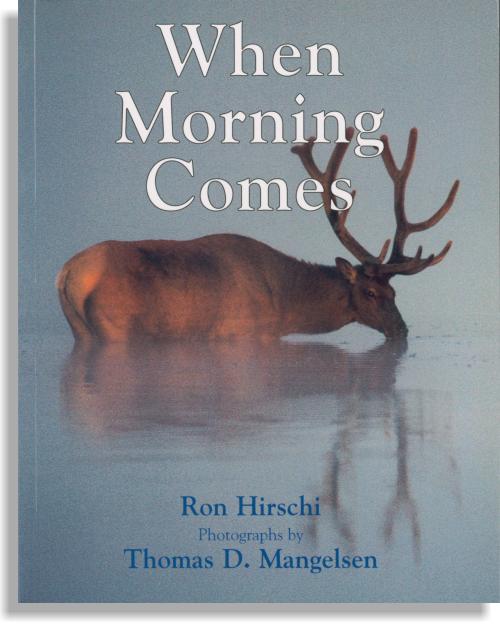 When Morning Comes