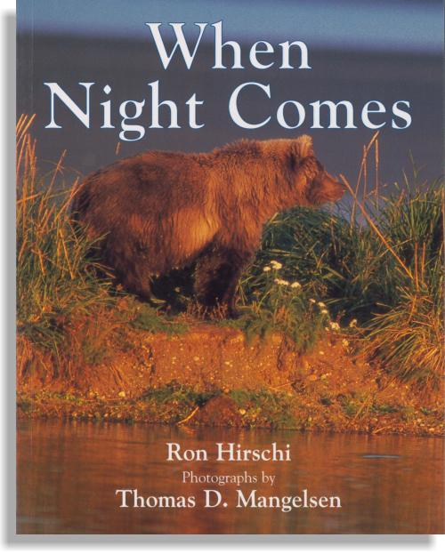 When Night Comes