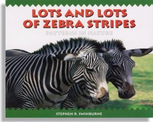Lots and Lots of Zebra Stripes