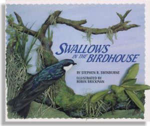 Swallows in the Birdhouse