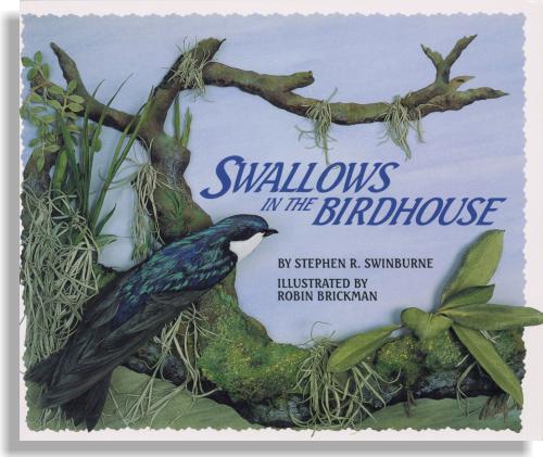 Swallows in the Birdhouse