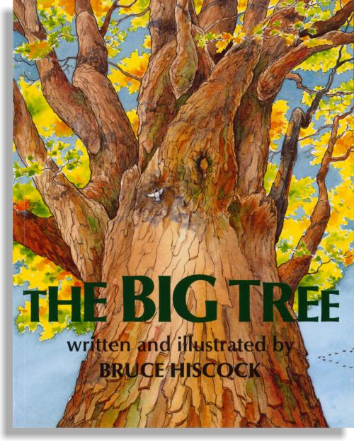 The Big Tree