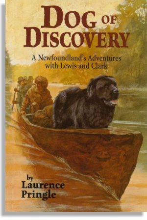 Dog of Discovery
