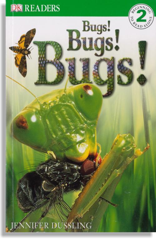 Bugs! Bugs! Bugs!