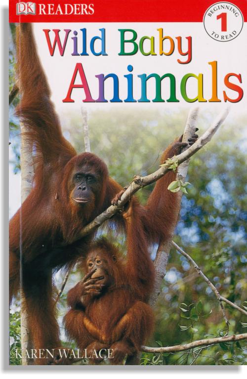 Wild Baby Animals