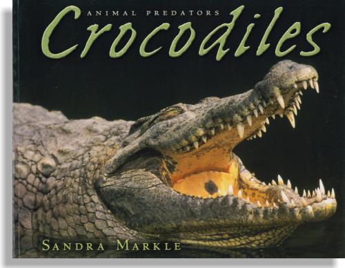 Animal Predators: Crocodiles