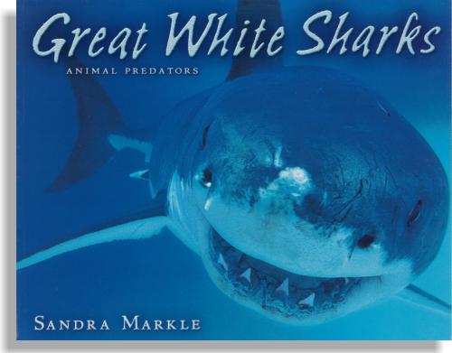 Animal Predators: Great White Sharks