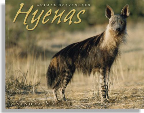 Animal Scavengers: Hyenas