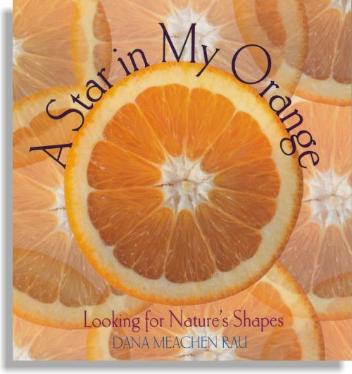 A Star in My Orange-OTS