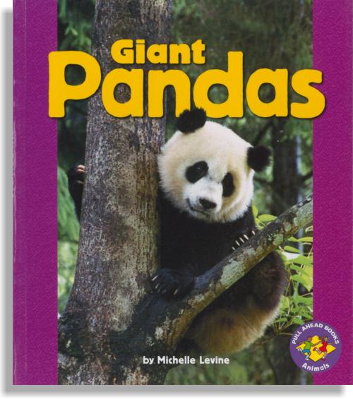Giant Pandas