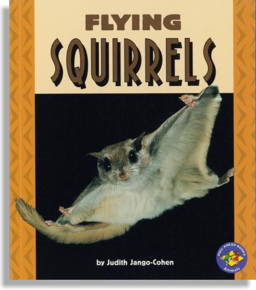 Flying Squirrels