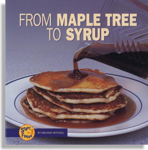 From Maple Tree to Syrup