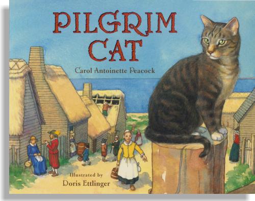 Pilgrim Cat