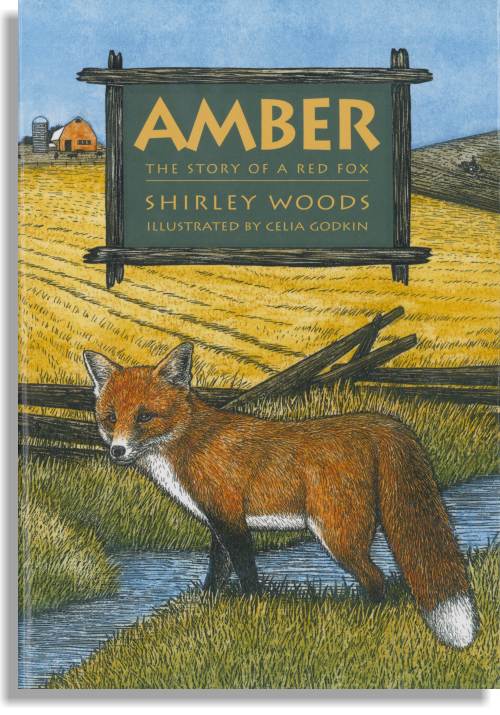 Amber: The Story of a Red Fox