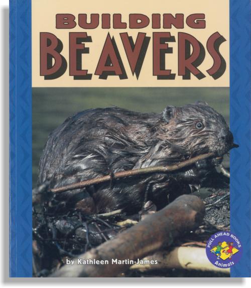 Building Beavers