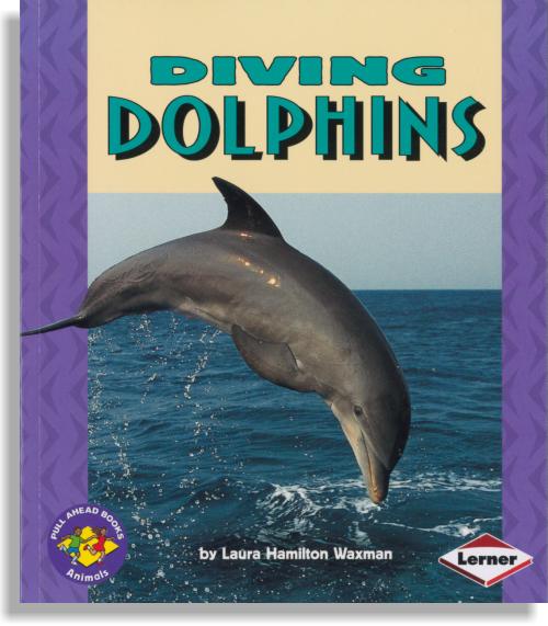 Diving Dolphins