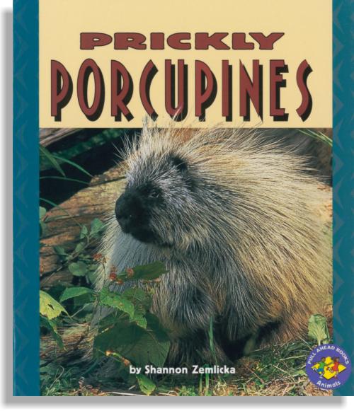 Prickly Porcupines