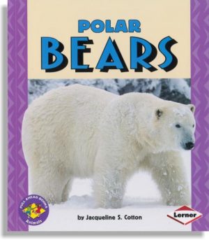 Polar Bears