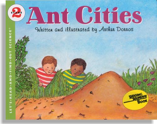 Ant Cities