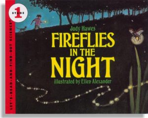 Fireflies in the Night