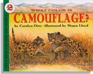 What Color is Camouflage?