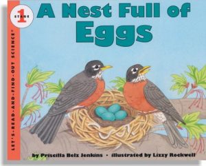 A Nest Full of Eggs