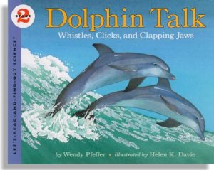Dolphin Talk