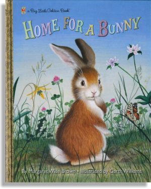 Home for a Bunny