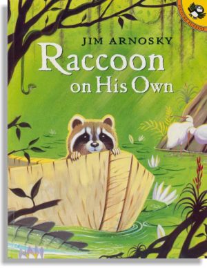 Raccoon On His Own