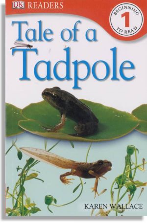 Tale of a Tadpole
