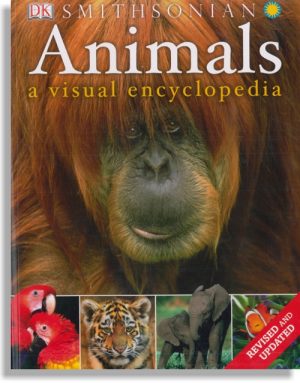 Animals: A Visual Encyclopedia