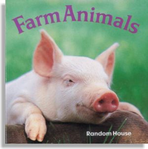 Farm Animals Board Book