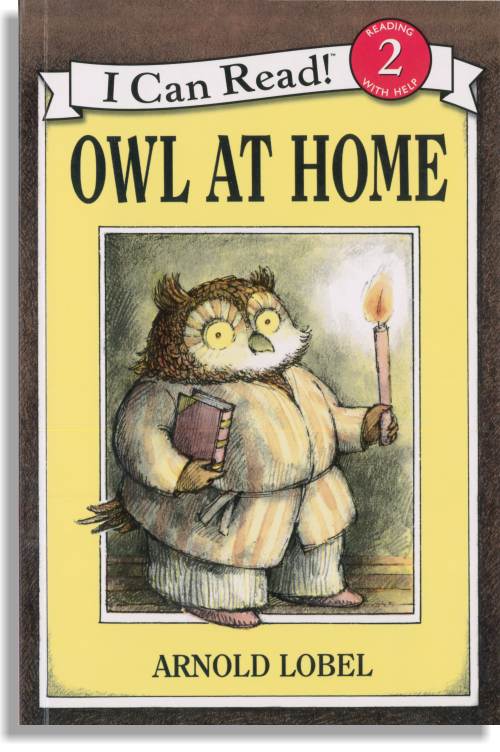Owl At Home
