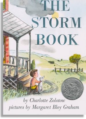 The Storm Book